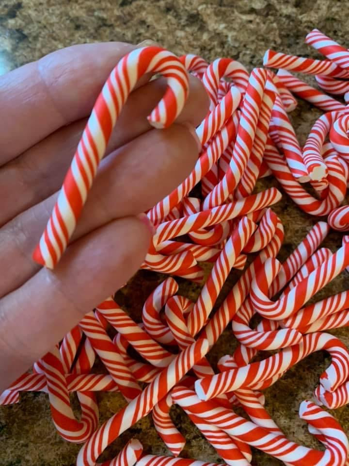 Mini Candycane